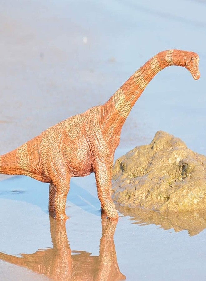 ZODZE Dinosaur Toys for Kids Big Size,Dinosaur Action Figures Realistic Dinosaur Toys Gifts for Kids Boys Girls(26 X 16 cm, Brachiosaurus T-Rex Edition) - Image 2